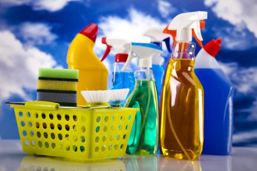 Local cleaning team preparing a Canary Wharf residential living area for a one-time clean