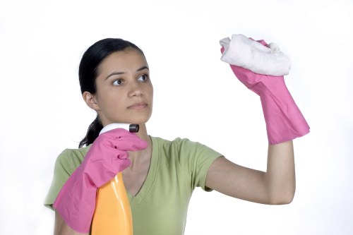Regular domestic cleaning for a high-rise home in Canarywharf