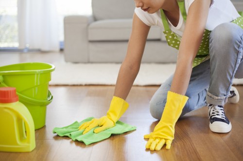 Protected Cleaner Canarywharf payment process with encryption